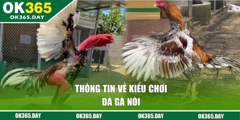 Thông tin về kiểu chơi đá gà nòi
